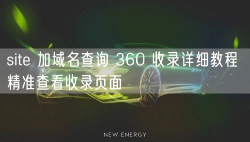 site 加域名查询 360 收录详细教程 精准查看收录页面