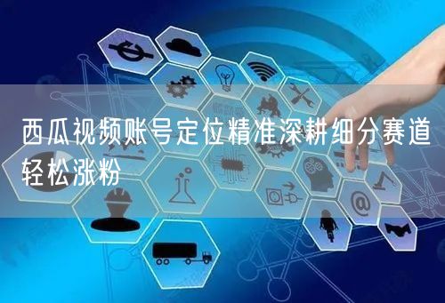 西瓜视频账号定位精准深耕细分赛道轻松涨粉