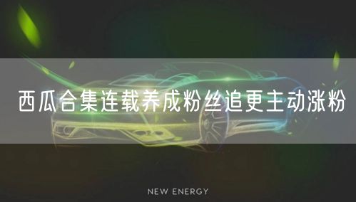 西瓜合集连载养成粉丝追更主动涨粉