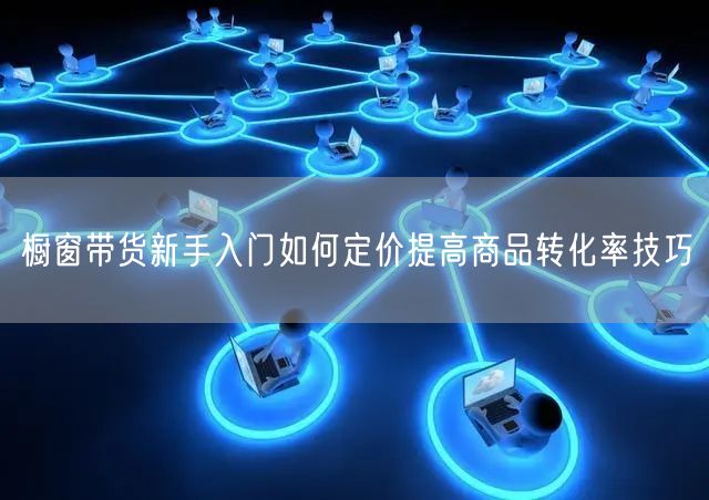 橱窗带货新手入门如何定价提高商品转化率技巧