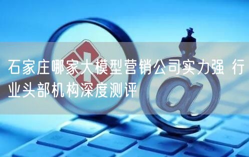 石家庄哪家大模型营销公司实力强 行业头部机构深度测评