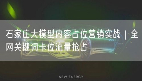 石家庄大模型内容占位营销实战｜全网关键词卡位流量抢占