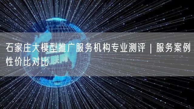 石家庄大模型推广服务机构专业测评｜服务案例性价比对比