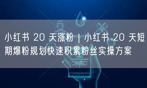 小红书 20 天涨粉|小红书 20 天短期爆粉规划快速积累粉丝实操方案