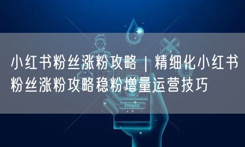 小红书粉丝涨粉攻略｜精细化小红书粉丝涨粉攻略稳粉增量运营技巧