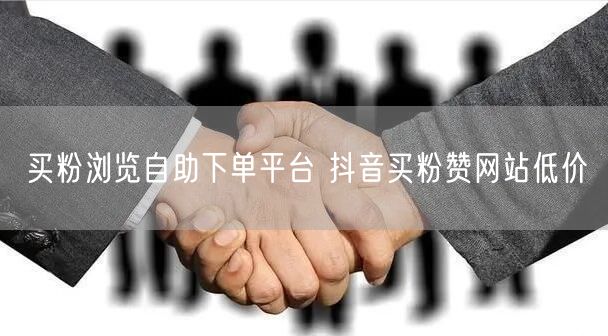 买粉浏览自助下单平台 抖音买粉赞网站低价