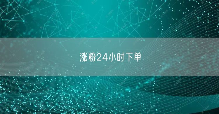 涨粉24小时下单