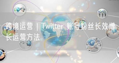 跨境运营｜Twitter 账号粉丝长效增长运营方法