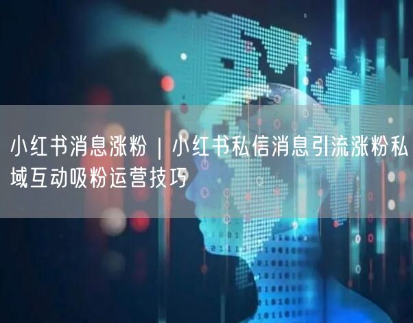 小红书消息涨粉｜小红书私信消息引流涨粉私域互动吸粉运营技巧
