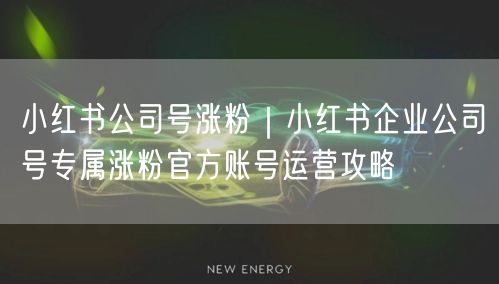 小红书公司号涨粉｜小红书企业公司号专属涨粉官方账号运营攻略