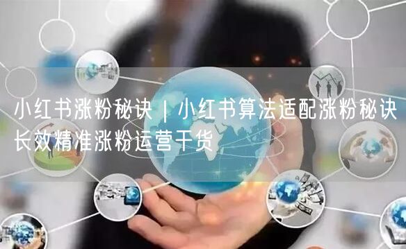 小红书涨粉秘诀｜小红书算法适配涨粉秘诀长效精准涨粉运营干货