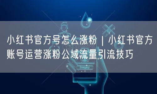 小红书官方号怎么涨粉｜小红书官方账号运营涨粉公域流量引流技巧