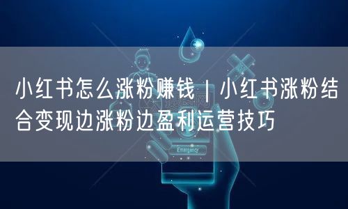 小红书怎么涨粉赚钱|小红书涨粉结合变现边涨粉边盈利运营技巧