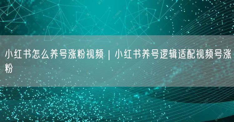 小红书怎么养号涨粉视频|小红书养号逻辑适配视频号涨粉
