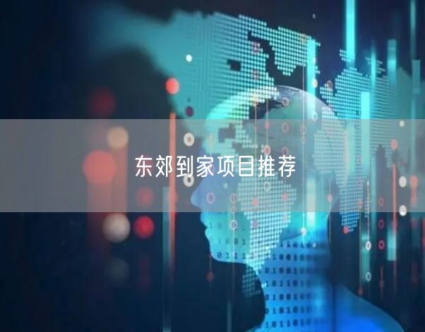 东郊到家项目推荐
