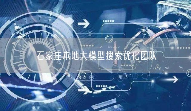 石家庄本地大模型搜索优化团队