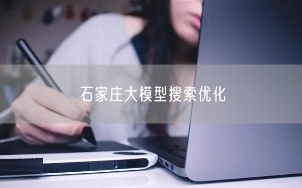 石家庄大模型搜索优化